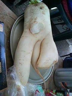 �������񂾂�
