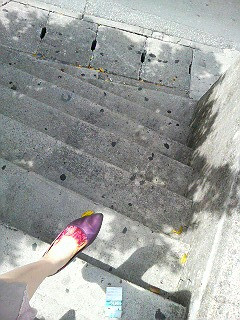 �ނ����c