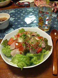 �T���_�s�r���o�v